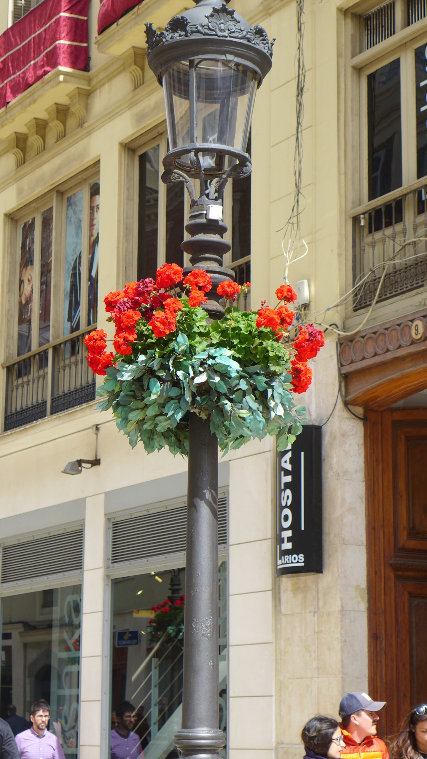 P1010545 2